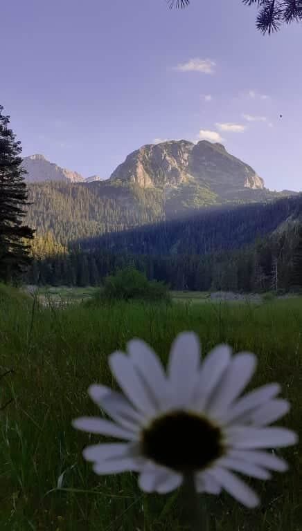 Апартаменты Rooms Apartment Durmitor Жабляк-9