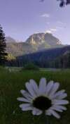 Апартаменты Rooms Apartment Durmitor Жабляк-5