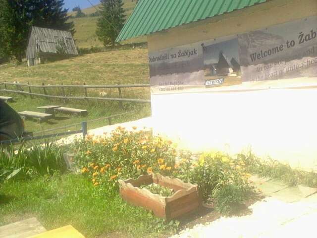 Апартаменты Rooms Apartment Durmitor Жабляк-72